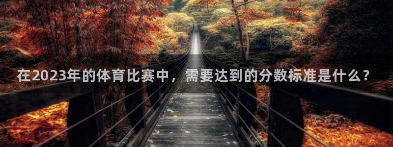 在2023年的体育比赛中，需要达到的分数标准是什么？
