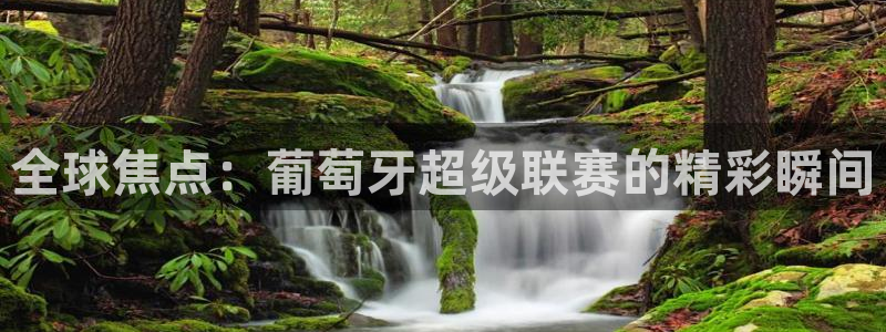 全球焦点：葡萄牙超级联赛的精彩瞬间